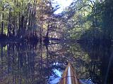 Congaree NP 02